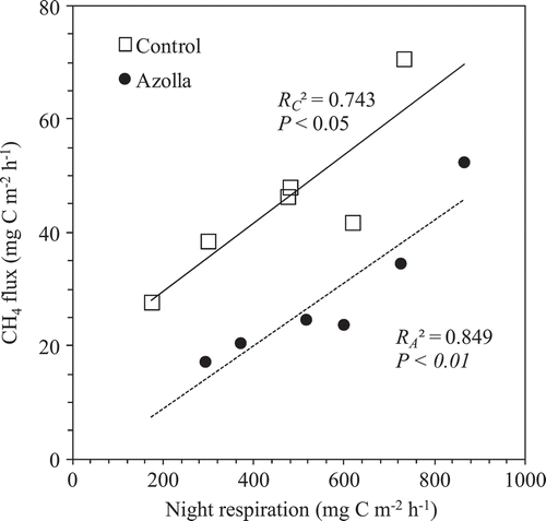 Figure 6. Relationship between CH4 flux and night respiration (CO2 emission) between treatments of absence (Control) and presence of A. filiculoides (Azolla) throughout after nine weeks of rice transplanting.