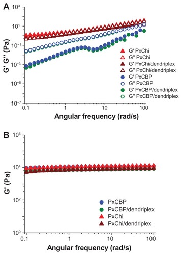 Figure 3 Elastic (G′) and viscous (G″) modulus as a function of angular frequency of in situ-forming gels with or without dendriplexes at (A) 10°C and (B) 25°C.Abbreviations: PxCBP, poloxamer/carbopol gel; PxChi, poloxamer/chitosan gel.