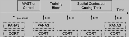 Fig. 1 Overview of the procedure. The procedure was similar for session 1 and session 2, the crucial difference being the stress vs. control condition. MAST, Maastricht Acute Stress Test; PANAS, Positive and Negative Affect Schedule; CORT, cortisol sample.