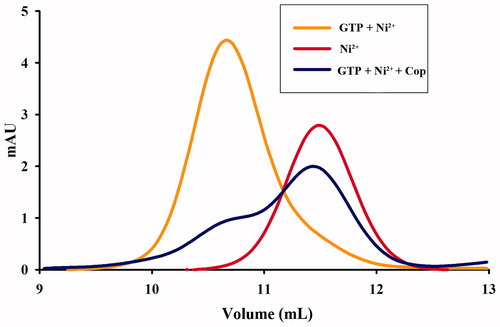 Figure 12. Coptisine (Cop) inhibits formation of UreG dimers. UreG monomers were treated with GTP + Ni2+ (orange), Ni2+ (GTP-free, red), or GTP + Ni2+ + Cop (blue).