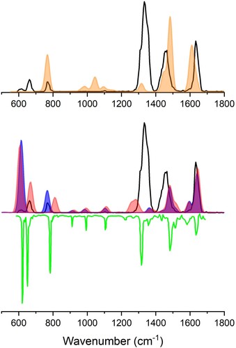 Figure 3. Experimental spectrum of the m/z 93 ion generated by CID of protonated 4-bromoaniline (black in both panels) compared with computationally predicted spectra of two different C6H7N+∙ isomers, the phenylenyl-ammonium distonic radical cation (orange) and the aniline π-radical cation (blue). For the latter, the anharmonic frequency calculation is reported as the shaded red spectrum. Computed stick spectra were convoluted with a 30 cm−1 FWHM Gaussian lineshape. In the bottom panel the IR spectrum of the aniline-Ar radical cation recorded in a supersonically cooled molecular beam taken from Ref. [Citation49] (green) is shown.