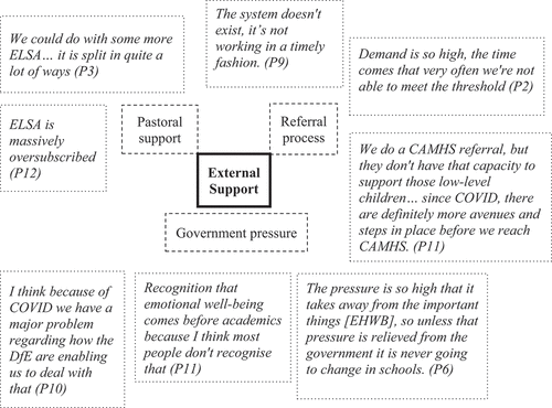 Figure 4. Quotes representing the theme of external support and related subthemes.