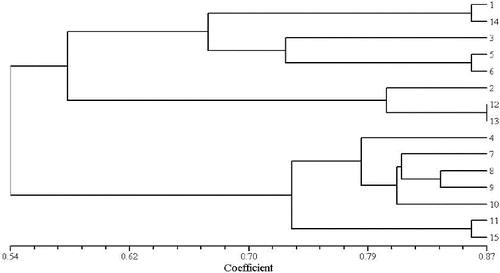 Figure 4. Dendrogram plot of 15 Aconitum specimens by UPGMA cluster analysis (ISSR).