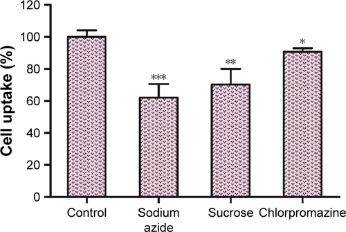 Figure S6 The effects of endocytic inhibitors on cellular uptake of CG-GS-FITC-LDH nanocomposites (mean±SD, n=3). *P<0.05, **P<0.01, ***P<0.001 vs control group.Abbreviations: CG-GS, chitosan-glutathione-glycylsarcosine; FITC, fluorescein isothiocyanate Isomer I; LDH, layered double hydroxides.