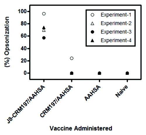 Figure 3. Average percent opsonization of GAS M97 strain by sera taken one week after the last boost (Day 50). Filled symbols (●▲) represent two independent experiments using mouse sera taken from C3H immunized mice and open symbols (○∆) represent two independent experiments using sera taken from Balb/c mice. In all four experiments only J8-CRM197/AAHSA immune serum promoted killing of the bacteria (activity ranging from 57–93%) which was statistically significant compared with the negative control (CRM197/AAHSA or AAHSA) immune serum p < 0.001.