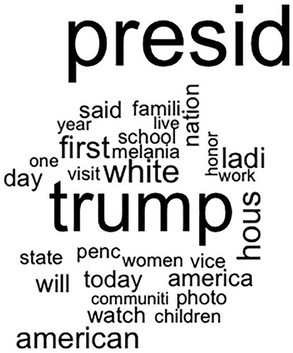 Figure A2. Topic one word cloud ‘activated patriotism’.