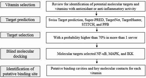 Figure 2. General workflow used in this work.