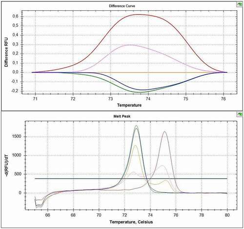 Figure 3. Representative plots from MS-HRM of CADM1 gene. Plots show curves of standards (100% red, 10% orange, unmethylated template green), methylated sample (purple), and unmethylated sample (blue).