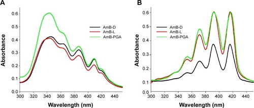 Figure 2 Absorption spectra of the AmB–PGA nanoparticle formulation and commercially available formulations of AmB (AmB-L, AmB-D) in (A) aqueous medium and (B) organic solvent.Abbreviations: AmB, amphotericin B; AmB-D, Fungizone®; AmB-L, Ambisome®; PGA, polyglutamic acid.