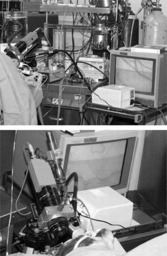 Figure 2 An overall view of the bioengineering station followed by a close-up view of the intravital microscope.