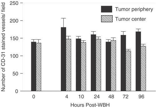 Figure 3. Analysis of the number of CD31-stained tumor vessels following FR-WBH treatment. Portions of the same tumors used in Figures 1 and 2 were stained for the mouse endothelial cell marker, CD31. The plot of the number of CD31-stained vessels per field at different times after FR-WBH shows that there were no significant changes in the total numbers of tumor vessels in response to FR-WBH treatment. The data are representative of 3 separate experiments with 4 mice per group in each experiment. For each data point we counted at least 5 randomly chosen fields at 10× magnification with at least 3 sections per tumor.