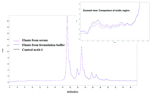 Figure 3. Overlay of IEX profile. Weak cation exchange method was used to evaluate antigen-based affinity recovery of mAb-1 from serum. An overlay of eluted mAb-1 recovered from serum showed similar profile to mAb-1 recovered from formulation buffer. Zooming into acidic region also showed similar recovery of different species.