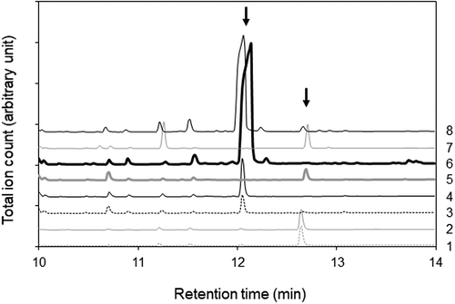 Figure 2. GC-MS chromatograms of LC-UV peak fractions after methyl esterification.The peak numbers of the fraction are shown at the right side. Arrows indicate the positions where main methyl esters were eluted.