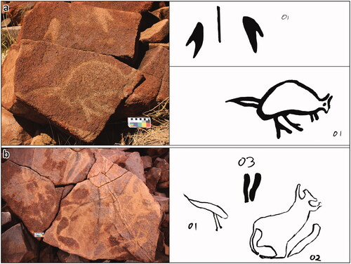 Figure 4. Two panel examples DG-2019-E191 (a) DG-2019-E154 (b) showing numbering of identified motifs with the ©ProCreate program using iPad.