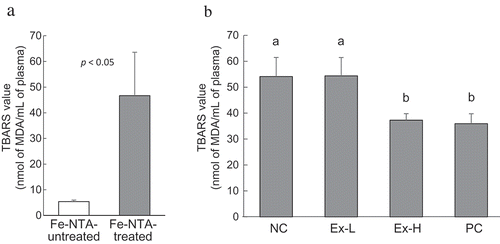 Figure 4. Plasma TBARS values in the oxidative stress mouse model treated with Fe-NTA.Changes in TBARS values after treatment with Fe-NTA (a); effects of sample extract on TBARS values (b). In experiment (a), 7-week-old male ICR mice were orally administered distilled water 15 min prior to intraperitoneal injection of Fe-NTA. After 60 min, the Fe-NTA-treated and Fe-NTA-untreated mice were sacrificed, and their plasma TBARS values were measured. In experiment (b), mice were administered distilled water (NC), low and high-dose extracts (Ex-L and Ex-H; 4 and 8 g dry powder base/kg, respectively), and catechin 0.25 mmol/kg and then treated with Fe-NTA. Data are expressed as mean ± SD of four mice. Significant differences were detected by Student’s t-test and Tukey–Kramer multiple-range test at p < 0.05.