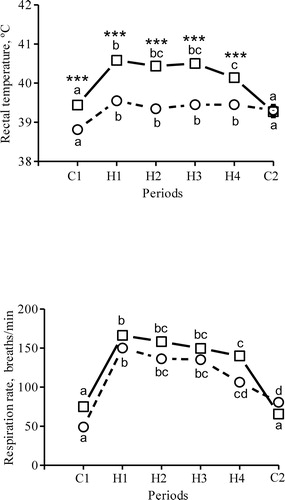 Figure 1. Rectal temperature and respiration rate in seven dams in the morning (circles) and afternoon (squares) during the initial two control days (period C1), the 15 heat days (periods H1–H4) and the last control day (period C2, no heaters on). Symbols represent LSM = 0.1 (rectal temperature) and SEM = 5–8 (respiration rate). a–d Different superscript letters between each period differ; * morning and afternoon values differ within each period (***P < 0.001).