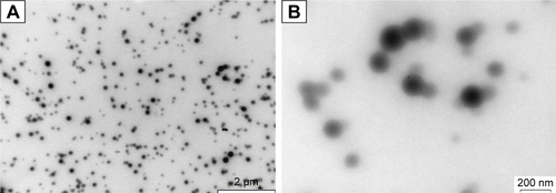 Figure S2 Transmission electron microscopy images of unfixed KER-NPs-PTX at two magnifications.Notes: Morphological analysis shows that the particles had smooth surface, spherical shape with a central core surrounded by a weak halo, and an average dry diameter of ~100 nm. (A) Particles with scale bar of 2 µm; (B) particles with a scale bar of 200 nm.Abbreviation: KER-NPs-PTX, paclitaxel loaded in keratin nanoparticles.