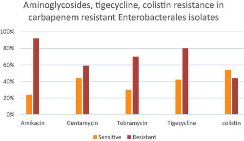 Figure 5. Aminoglycosides, tigecycline and colistin resistance in carbapenem-resistant Enterobacteriaceae (40 [20.4%] showing intermediate resistance to tigecycline were considered resistant).