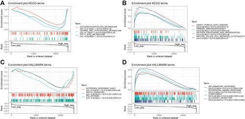 Figure 4 Gene Set Enrichment Analysis (GSEA) of RAB40C. (A and B) Enrichment of Kyoto Encyclopedia of Genes and Genomes (KEGG) pathways correlated to RAB40C expression. (C and D) Enrichment of KEGG pathways correlated to RAB40C expression.