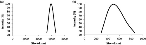 Figure 4. Light scattering for assessing protein aggregates. A peak shift to micron size range was observed for native protein after 3 months incubation (77.16–5919.9 nm), while no significant change was seen for PASylated form at the same conditions (424–496.5 nm).