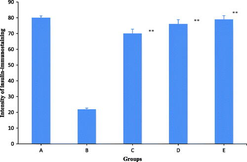 Figure 4. Histogram showing intensity of insulin-immunostaining expression of β-cells in islet of Langerhans. (A) Normal control. (B) Diabetic control. (C and D) Diabetic + F. carica (250 and 500 mg/kg b wt.). (E) Diabetic + glibenclamide (0.6 mg/kg). Values represent the mean ± standard error of the mean (SEM) of six rats per group. **p < 0.005, compared with diabetic control values.