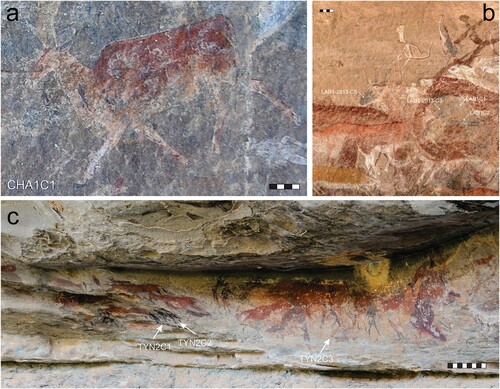 Figure 9. Sites in the Eastern Cape Drakensberg with directly dated shaded polychrome eland paintings. Carbon black was identified and isolated with pretreatment protocols to remove atmospheric carbon, and directly dated using AMS 14C, yielding results shown in Table 1. Images courtesy of Adelphine Bonneau and David Pearce.