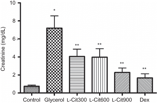 Figure 2.  Effects dexamethasone (Dex) of L-Citrulline (L-Cit) on levels of Cr in rats plasma. Data are the means ± SEM for six animals.Note: *p < 0.01 as compared to the control, **p < 0.01 as compared to the glycerol group.