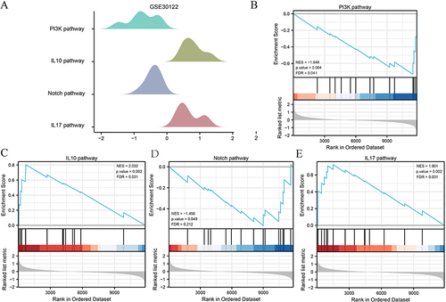 Figure 4 Gene set enrichment analysis. (A) GSEA plot showing most enriched gene sets in the DKD group and normal controls. The differential expression genes in GSE30122 were significantly enriched in (B) PI3K pathway, (C) IL10 pathway, (D) Notch pathway and (E) IL17 pathway. The screening criteria for GSEA items were P < 0.05 and FDR < 0.25.