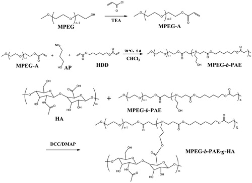 Scheme 1. Schematic illustration for the synthetic route of MPEG-b-PAE-g-HA copolymer.