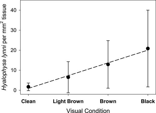 Figure 13. Correlation between the visible severity of black gill symptoms (gill color appearing clean, light brown, brown, black) in Litopenaeus setiferus and Hyalophysa lynni abundance. Data was estimated from 329 shrimp collected from August 2013 thru October 2014. Bar indicates one standard deviation. Dashed line is a linear regression (r2 = 0.99). Figure updated from Frischer et al. Citation2017.