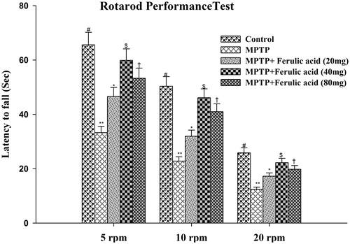 Figure 2. Rotarod performance of experimental mice: values are given as mean ± SD for six mice in each group. Error bars sharing common symbol do not differ significantly at p < 0.05. #Significantly p < 0.05 differ from MPTP and MPTP + ferulic acid-treated groups. **Significantly p < 0.05 differ from control and MPTP + ferulic acid groups. *Significantly p < 0.05 differ from control, MPTP, and MPTP+ferulic acid (40 mg/kg and 80 mg/kg body weight). $Significantly p < 0.05 differ from control, MPTP, and MPTP+ferulic acid (20 mg/kg and 80 mg/kg body weight) groups. †Significantly p < 0.05 differ from control, MPTP, and MPTP+ferulic acid (20 mg/kg and 40 mg/kg body weight) groups.
