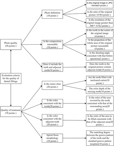 Figure 7. Scoring index graph of filling teeth.