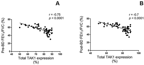 Figure 3 Correlations between total TAK1 immunopositive cells in sputum of asthmatics with FAO, expressed as percentage, and the pulmonary function tests, including pre-bronchodilator (A) and post-bronchodilator FEV1/FVC ratios (B). Spearman rank correlation has shown significant negative correlations between TAK1 levels and FEV1/FVC ratios.