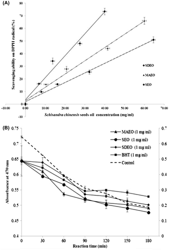 Fig. 1. Antioxidant activities of volatile essential oils from seeds of S. chinensis: (A) free radical-scavenging activity assay and (B) β-carotene-linoleic acid bleaching assay. MAEO, microwave-assisted extracted oil; SDEO, simultaneous distillation extracted oil; SEO, Soxhlet-extracted oil; BHT, butylated hydroxytoluene.