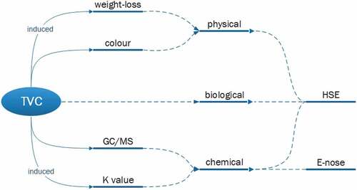 Figure 1. TVC-based prawn quality change characterization