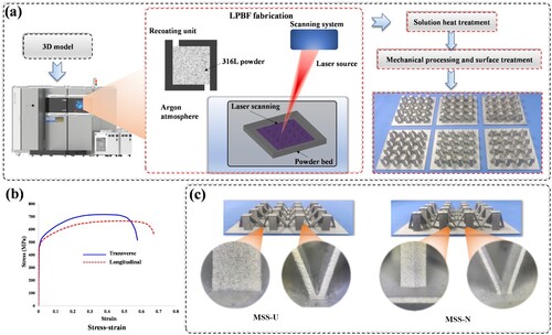 Figure 2. Additive manufacturing of MSS: (a) Additive manufacturing process; (b) Stress-strain curves; (c) MSS-U and MSS-N specimens.