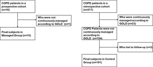 Figure 1 Population flow chart.