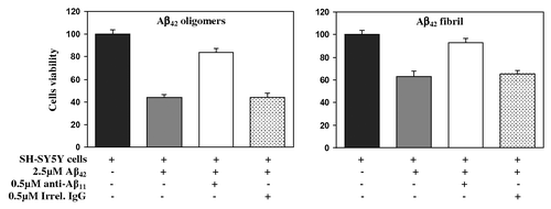 Figure 5. Rabbit anti-Aβ11 antibodies inhibit Aβ42 fibrils- and oligomer-mediated neurotoxicity. Human neuroblastoma SH-SY5Y cells were incubated with Aβ42 oligomers and fibrils, in the presence or absence of anti-Aβ11 antibody or irrelevant rabbit IgG. Control cells were treated with the vehicle, and cell viability was assayed in all cultures using the 3-(4,5-dimethylthiazol-2-yl)-2,5-diphenyltetrazolium bromide assay. Data were collected (four replicates) and were expressed as percentages of control ± s.d.