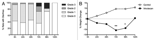 Figure 1. Measures of clinical toxicity. (A) Percentage of rats with grade 0, 1, 2, and 3 diarrhea between 6 and 120 h following irinotecan (175 mg/kg ip) administration. (B) Percentage change in weight from baseline to 120 h in rats following vehicle control (sorbitol/lactic acid buffer: 45 mg/mL sorbitol/0.9 mg/mL lactic acid, pH 3.4) or irinotecan (175 mg/kg ip). *P < 0.01 vs. 120 h, **P < 0.0001 vs. 24 h and 120 h. A one-way analysis of variance with Tukey’s post hoc was performed to determine significance (n = 39).