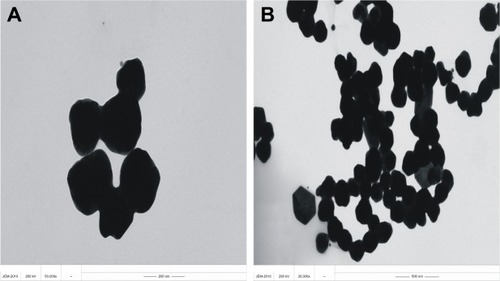 Figure 6 TEM of the analytical system.Notes: (A) 0.21 mmol/L HAuCl4 + 0.006% H2O2 + 1.84 ng/mL GONR6 + 0.1 mmol/L HCl + 3.3×10−7 mol/L VBB + 3.3 ng/mL Ab; (B) A + 2.62 ng/mL mAlb.Abbreviations: TEM, transmission electron microscopy; GONR, graphene oxide nanoribbon; VBB, Victoria blue B.