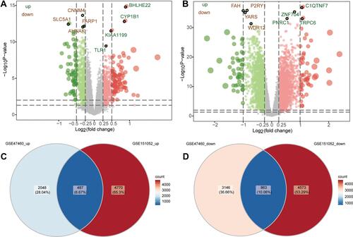 Figure 2 Differentially expressed mRNAs between COPD patients and controls. (A) Differentially expressed mRNAs between COPD patients and controls in the GSE47460 dataset. Red dots are upregulated genes; green dots, downregulated genes. (B) Differentially expressed mRNAs between COPD patients and controls in the GSE151052 dataset. Venn diagram of (C) upregulated or (D) downregulated genes common to both datasets.