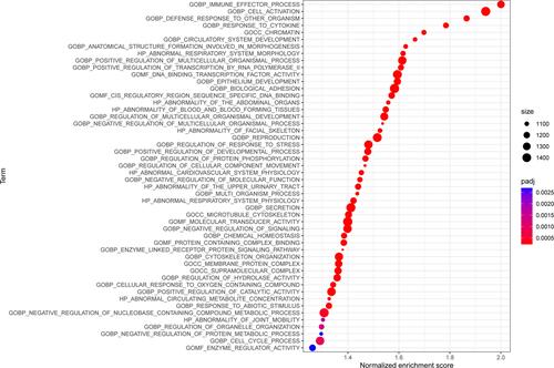 Figure 8 Bubble plots showing the enriched terms based on GSEA analysis ranked by p-value in the high-RS group of the training data set.