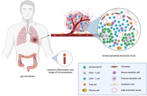 Figure 1 Host-related biomarkers. Created by https://www.Biorender.com.