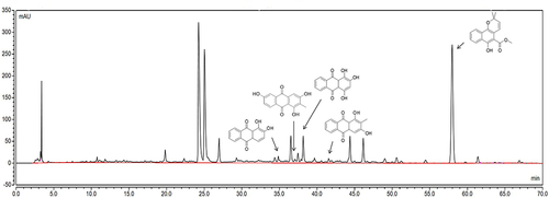 Figure 2 Identification of components in RCE based on HPLC. The chemical composition, from left to right, is alizarin, 6-hydroxyrubiadin, purpurin, rubiadin, and mollugin.