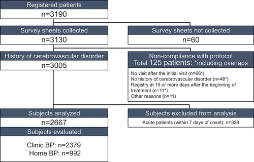 Figure 1. Breakdown of patients. Abbreviations: BP, blood pressure.