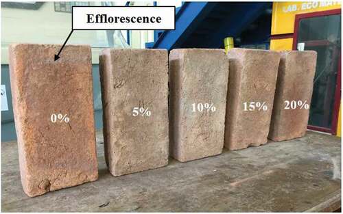 Figure 9. Efflorescence of brick specimens with different POFA contents