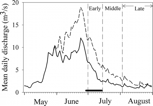 FIGURE 2. Mean daily discharge of the Colorado River at U.S. Geological Survey (USGS) gage no. 09010500 (solid line), and sum of mean daily discharges of the Colorado River at USGS gage no. 09010500 and the Grand Ditch at La Poudre Pass (dashed line) for 1 May to 31 August 1999. Dot-dash lines separate early, middle, and late periods of study, as described in text. Thick solid line indicates period of observed willow seed rain