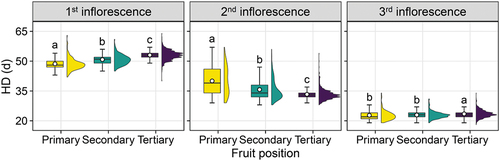 Figure 6. Days to harvest (HD) in each inflorescence and each fruit position. In the boxplots, the boxes indicate the 25th percentile to the 75th percentile, and the median is shown by a line within the box. The whiskers extend to 1.5 times the interquartile range from the 25th and 75th percentiles. The density curve is shown on the right side of each boxplot. Mean values are represented by white circles. Different letters indicate significant differences (p < 0.01) as determined by a Steel–Dwass test.