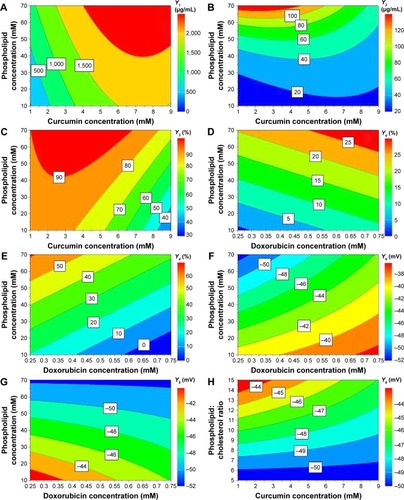 Figure 3 Contour plots showing the interaction between variables on the responses: the effect of X1X2 on entrapped CUR concentration, at 55°C and pH 5 (A); the effect of X1X2 on entrapped DOX concentration, at 55°C and pH 5 (B); the effect of X1X2 on CUR entrapment efficiency, at 55°C and pH 5 (C); the effect of X1X3 on DOX entrapment efficiency, at 55°C and pH 4.5 (D) and 5 (E); the effect of X1X3 on zeta potential, at 55°C and pH 4.5 (F) and 5 (G); and the effect of X2X6 on zeta potential, at 55°C and pH 5 (H).Notes: X1, phospholipid concentration (mM); X2, curcumin concentration (mM); X3, doxorubicin concentration (mM); X6, phospholipid:cholesterol molar ratio.