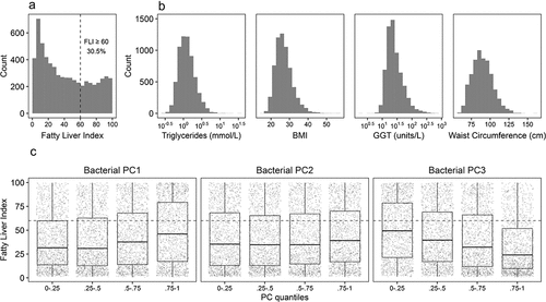 Figure 1. Distribution of FLI (a), its components (b), and FLI in quantiles of the first three PC components of the fecal bacterial composition of the participants (c). The cutoff at FLI = 60 used to divide the participants is indicated with a dashed line in panels a and c